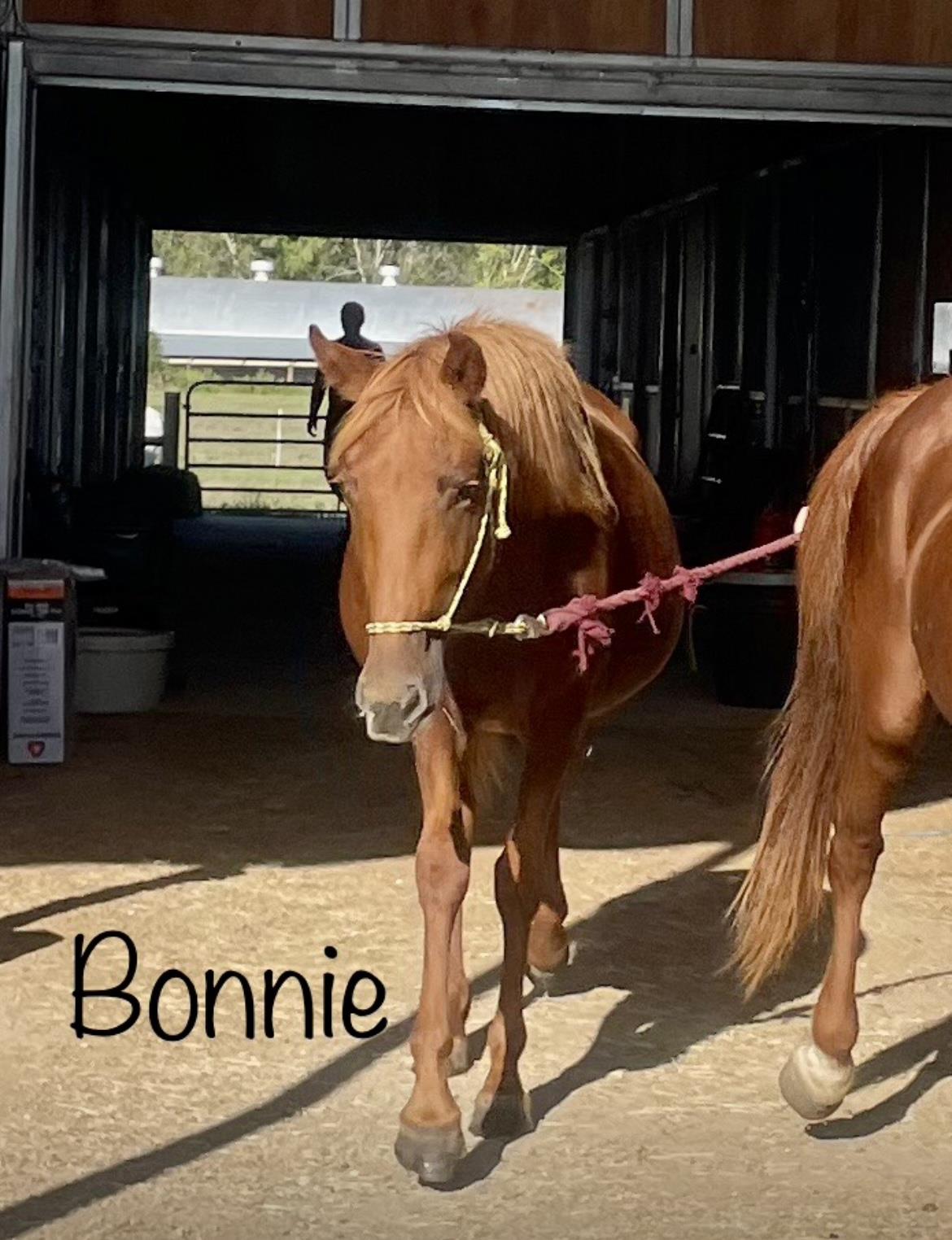 Bonnie