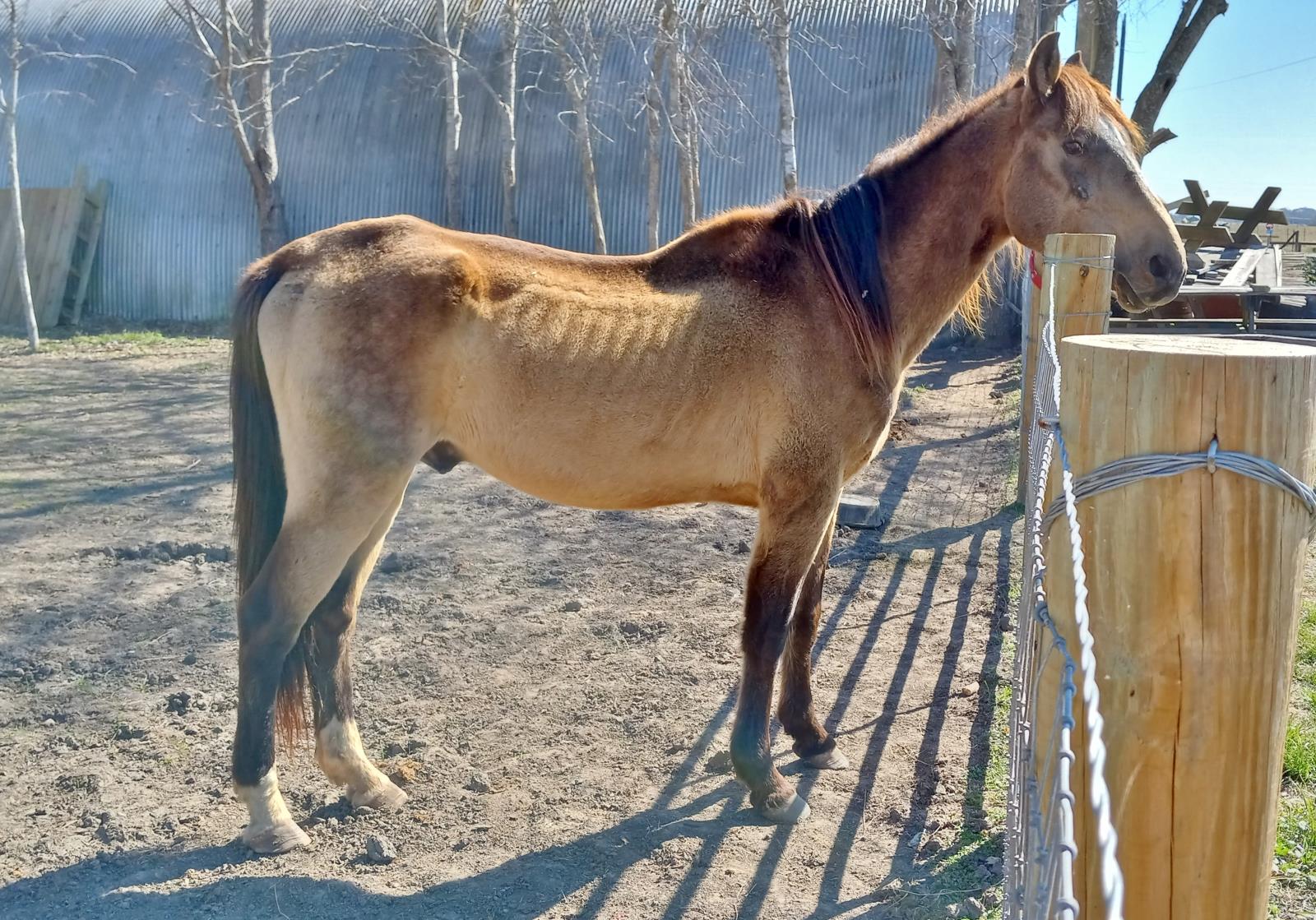 Duncan