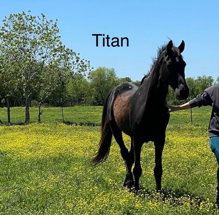 Titan