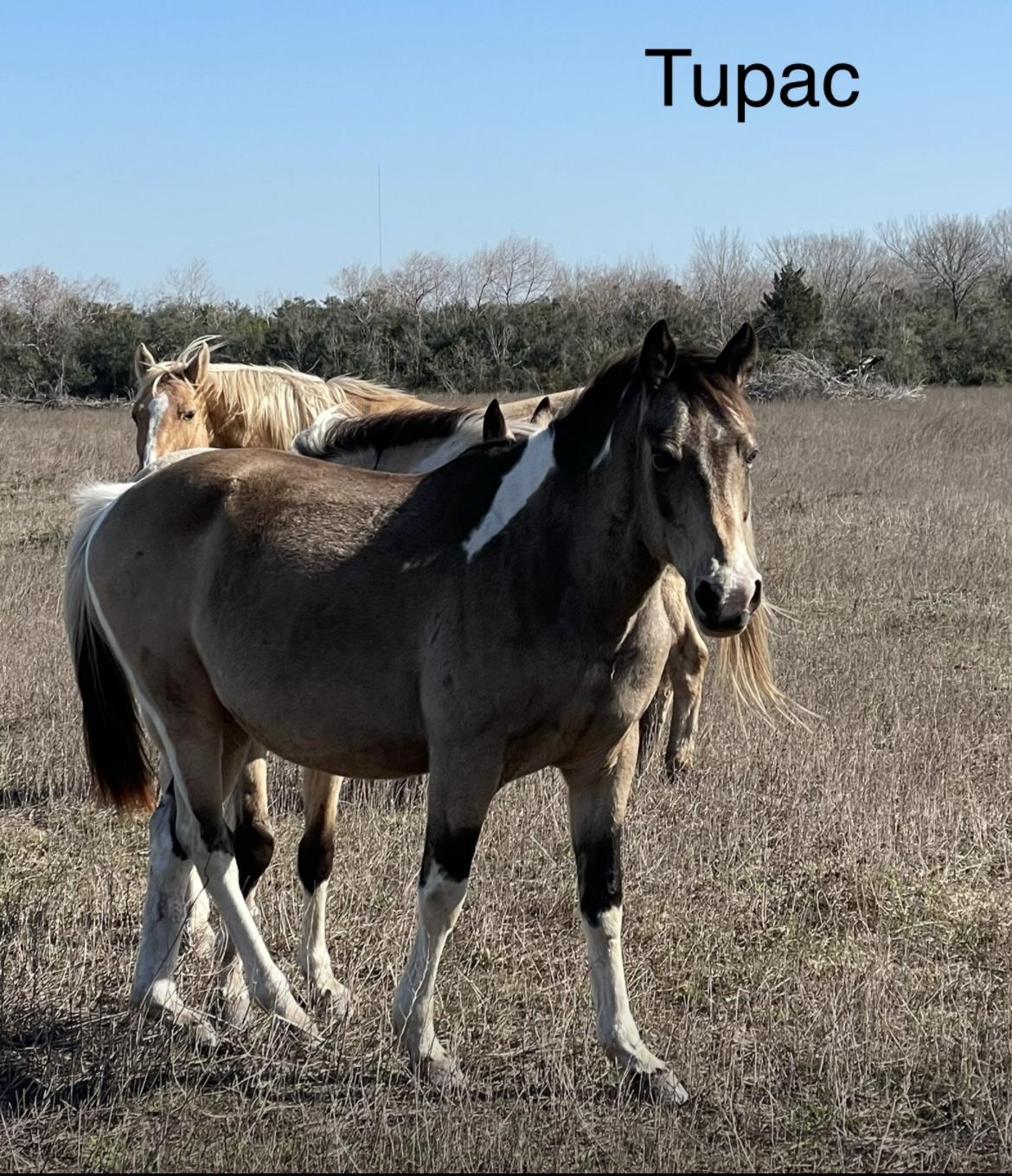 Tupac